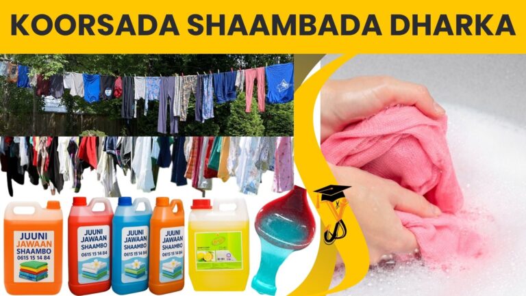 KOORSADA SHAAMBADA DHARKA